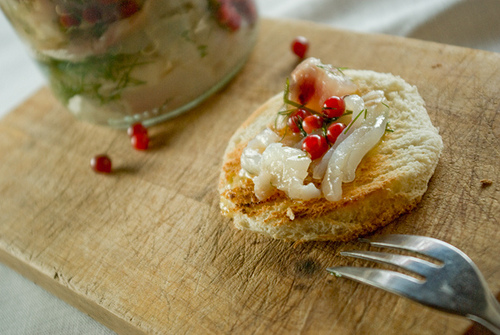 Graavisiig pohladega purgis