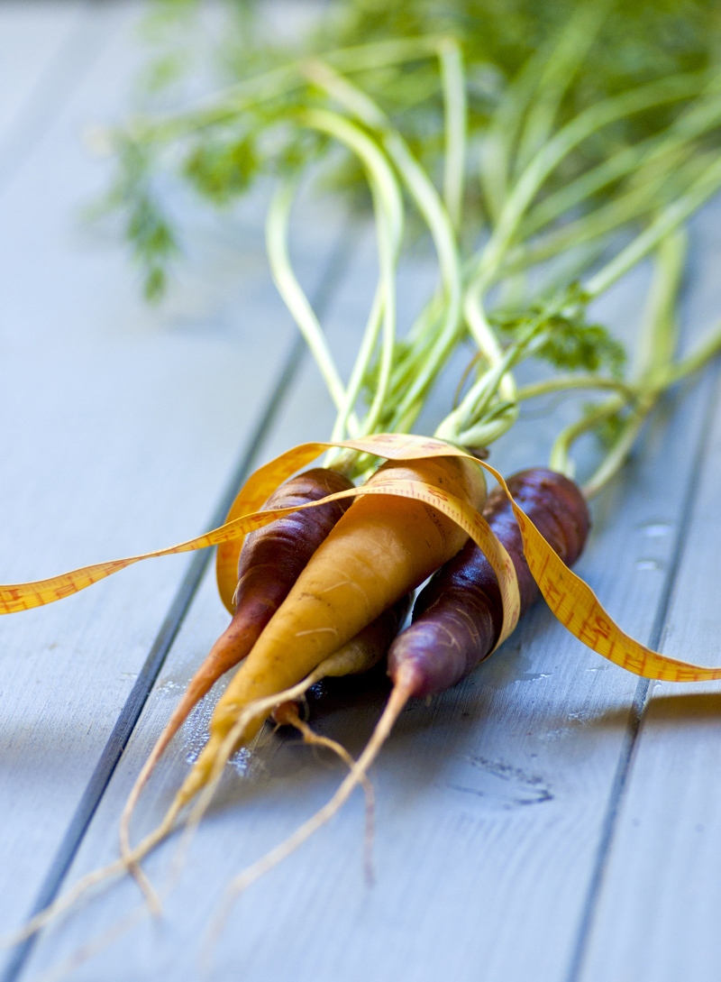 Katsejänesena toitumisuuringus