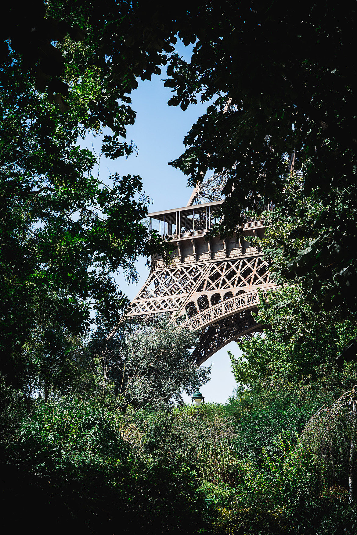 Augustikuine Pariisi-amps